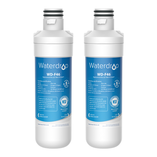 Waterdrop Compatible LG LT1000P Refrigerator Water Filter