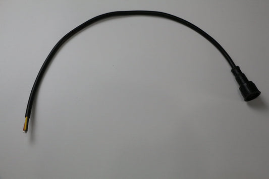 Pigtail Ray Wu