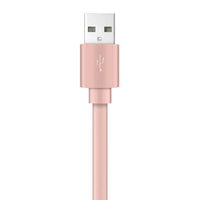 Xyst Charge and Sync USB to Lightning Flat Cable 4Ft - Snagva