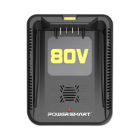PowerSmart 80V charger with cable placed on a white surface, showing front and side view.