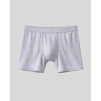 SilkCut Micro Modal Air Boxer Brief