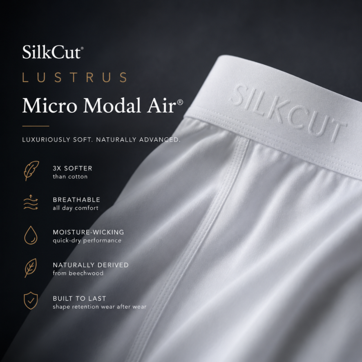 SilkCut Micro Modal Briefs - 3 Pack