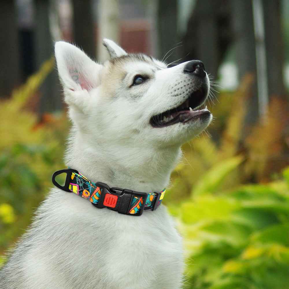 5 Colors Collar Dog Nylon Printed Pet Puppy Dog