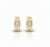 Aurielle Hoops