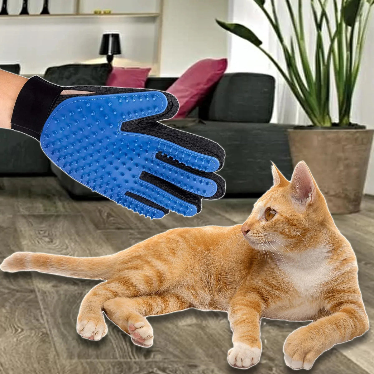 Person wearing grooming glove brushing loose pet hair off a dog's coat