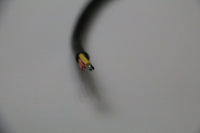 Pigtail Ray Wu
