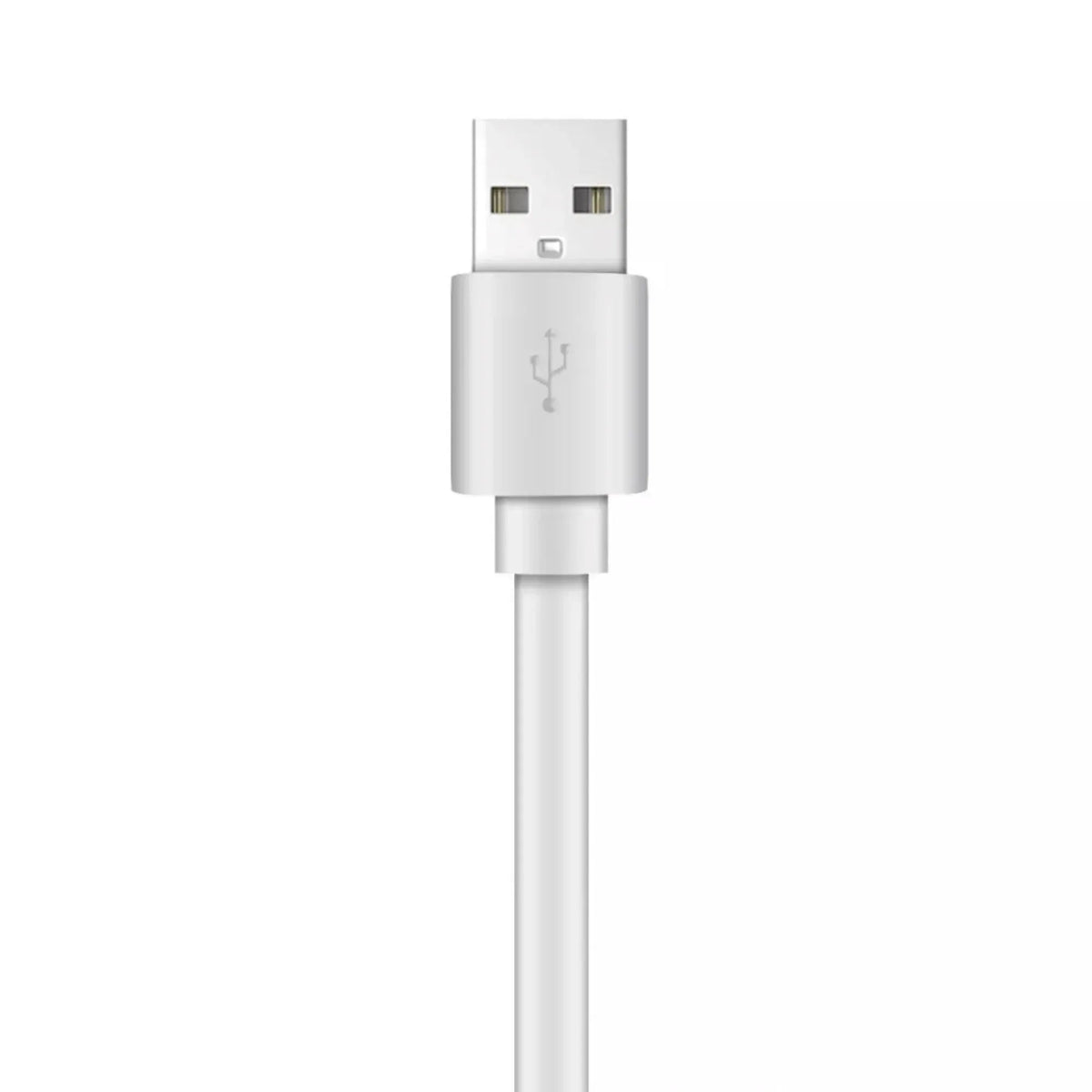 Xyst Charge and Sync USB to USB-C Flat Cable 4Ft - Snagva