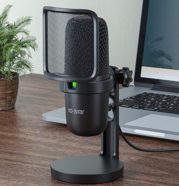 Notebook Computer Game Voice Live Broadcast USB Microphone - Snagva