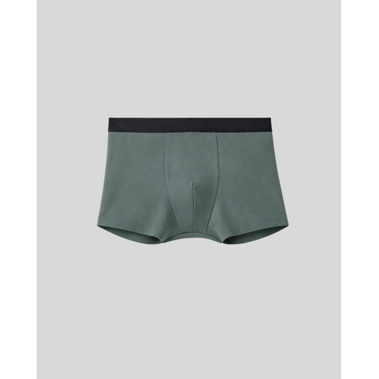 SilkCut Cotton Boxer Trunks