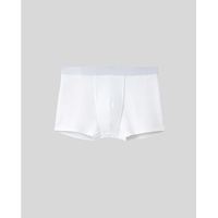 SilkCut Cotton Boxer Trunks