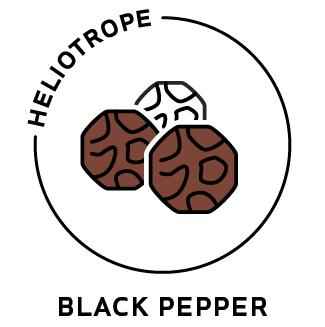 Essential Oil - Black Pepper
