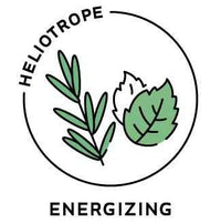 Essential Oil Blend Energizing (Rosemary Mint)