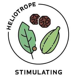Essential Oil Blend Stimulating (Black Pepper Cardamom Bay Laurel)