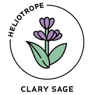 Essential Oil - Clary Sage
