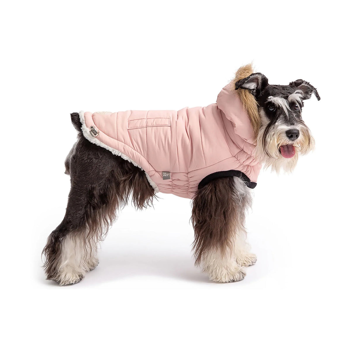 Back view of a dog wearing the pink urban parka with adjustable bungee cord visible.