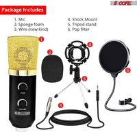 5Core Recording Microphone Podcast Bundle Professional Condenser