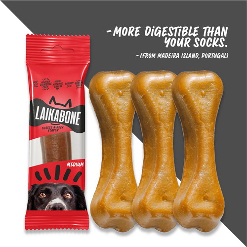 Medium size LAIKA BONE cheese and beef dog chew against a white background