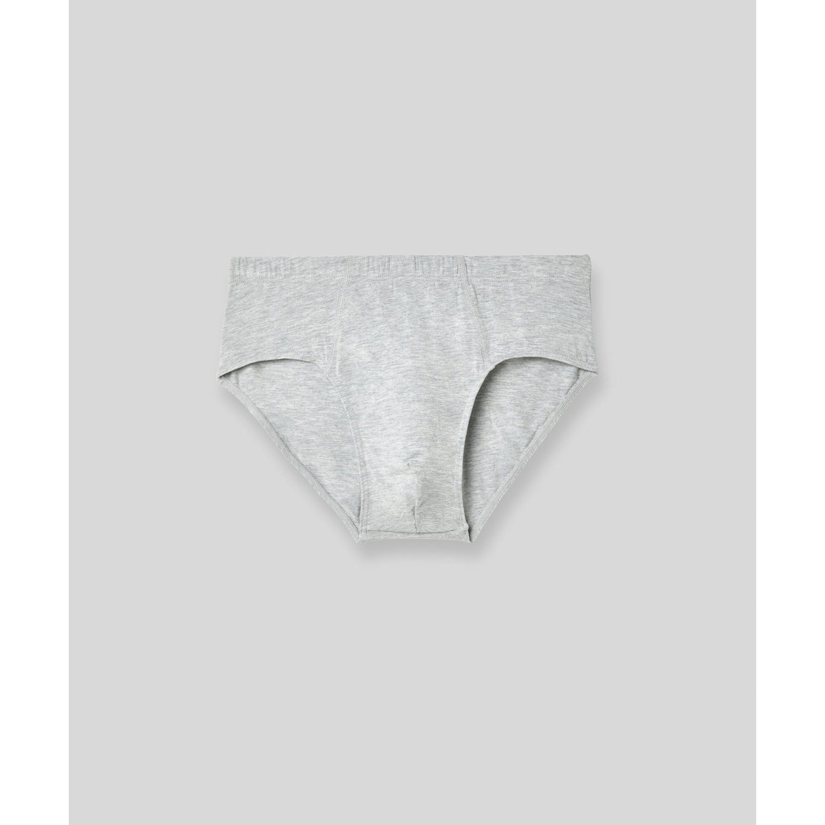 SilkCut Micro Modal Briefs - 4 Pack