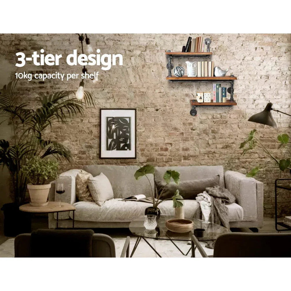 Wall-mounted rustic pipe shelf holding books and plants enhancing home office decor