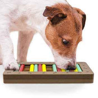 Brainiac Rollie-Pollie™  Treat Dispensing Pet Toy