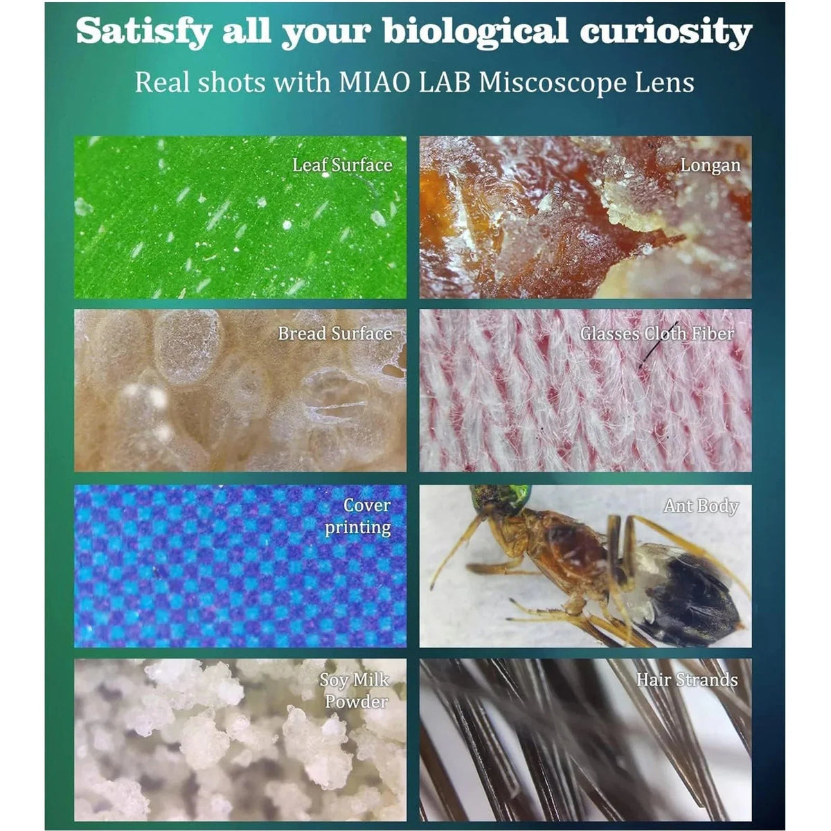 Smartphone screen displaying a magnified image captured using a phone microscope.