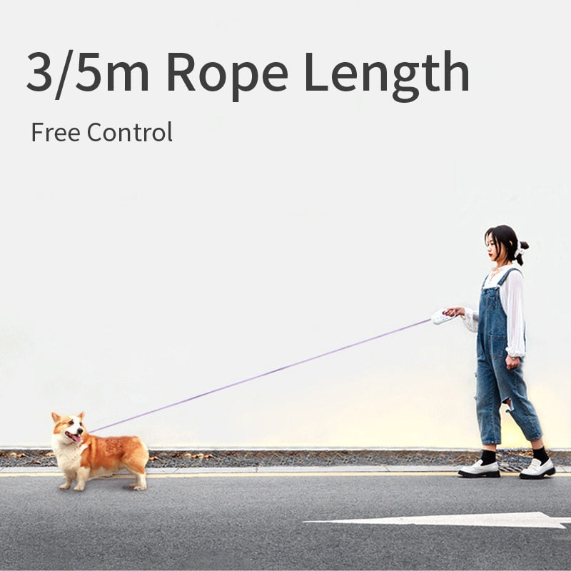 Automatic Retractable Lighting Dog Leash - color options purple green orange
