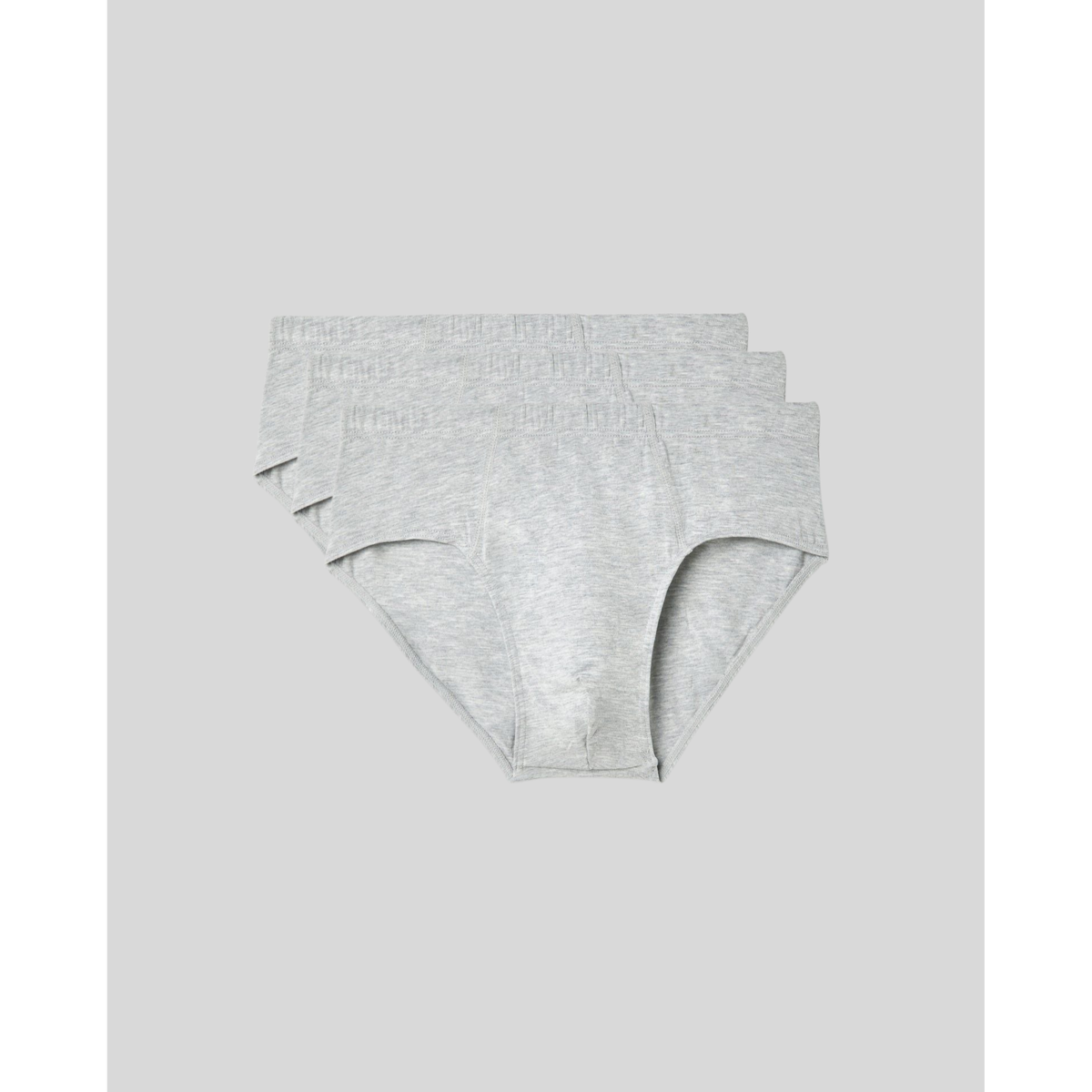 SilkCut Micro Modal Briefs - 3 Pack