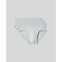 SilkCut Micro Modal Briefs - 3 Pack