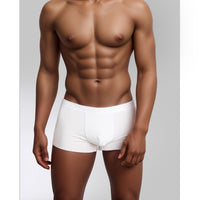 SilkCut Cotton Boxer Trunks