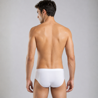 SilkCut Micro Modal Briefs - 4 Pack