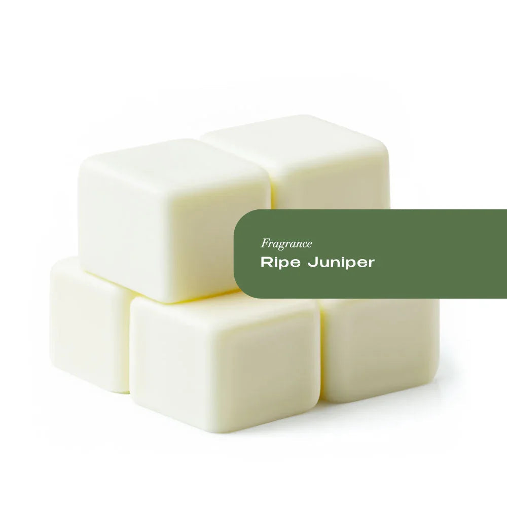 Six natural coconut wax melt tarts in pale green color for home fragrance.