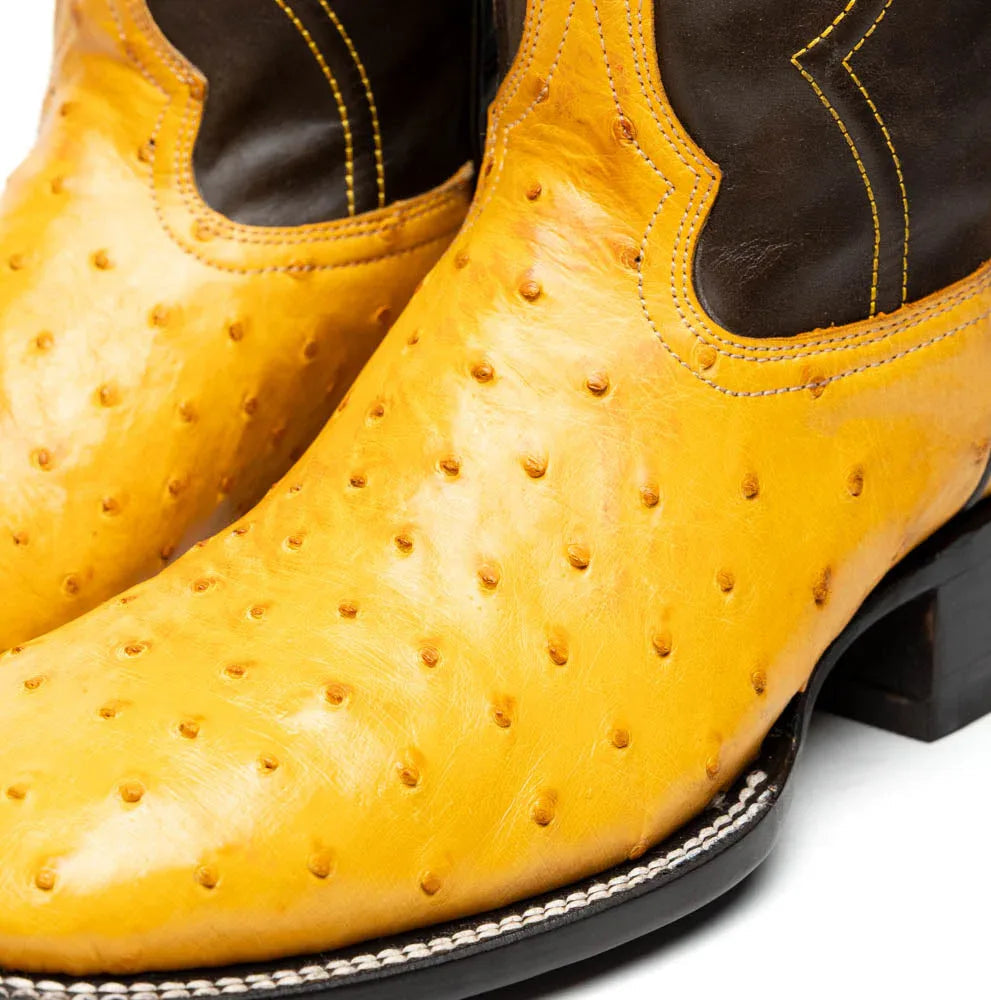 Top-down view highlighting textured ostrich quill leather on Alabama Buttercup boot.