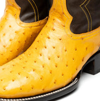 Top-down view highlighting textured ostrich quill leather on Alabama Buttercup boot.