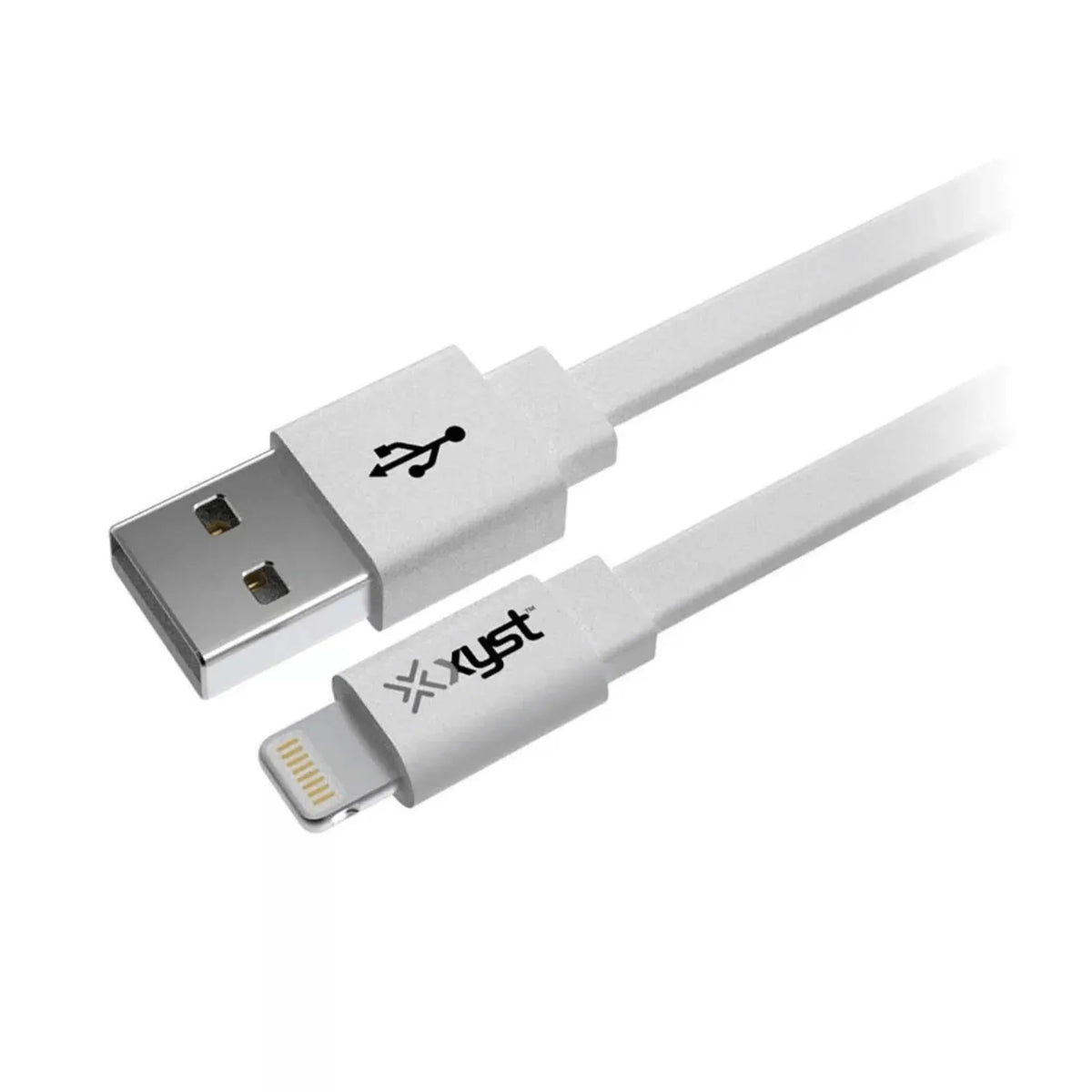 Xyst 2.4-Amp Dual USB Wall Charger With 4Ft Lightning Cable - Snagva