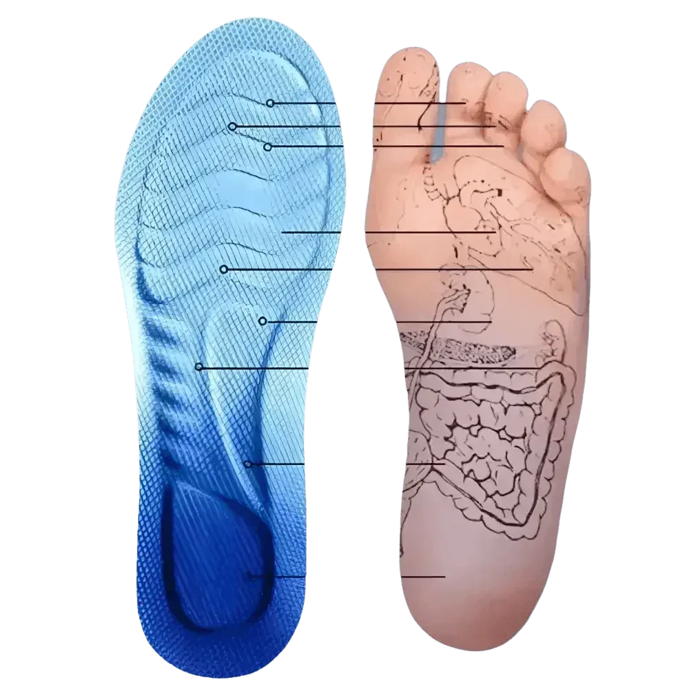 Side angle of blue and white insole displaying flexible shock-absorbing features.