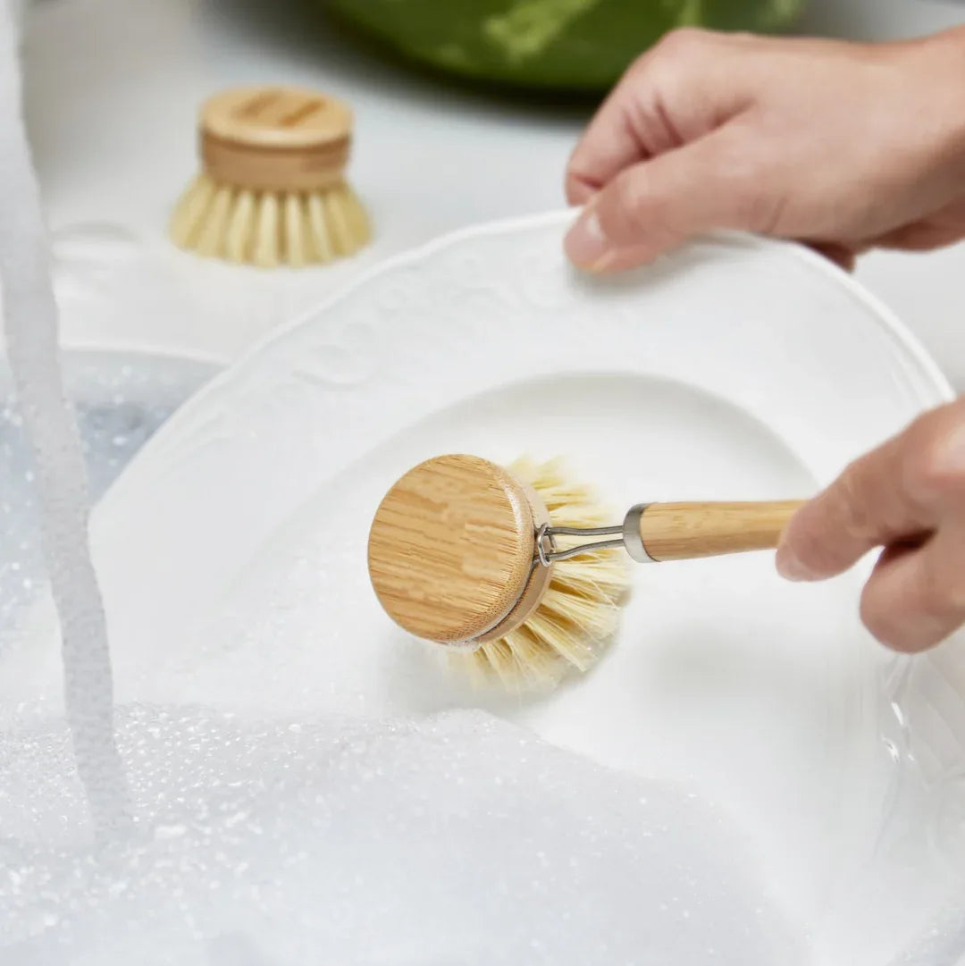 Eco-friendly bamboo dish brush with natural fiber bristles shown against white backdrop.