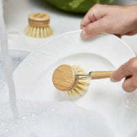 Eco-friendly bamboo dish brush with natural fiber bristles shown against white backdrop.