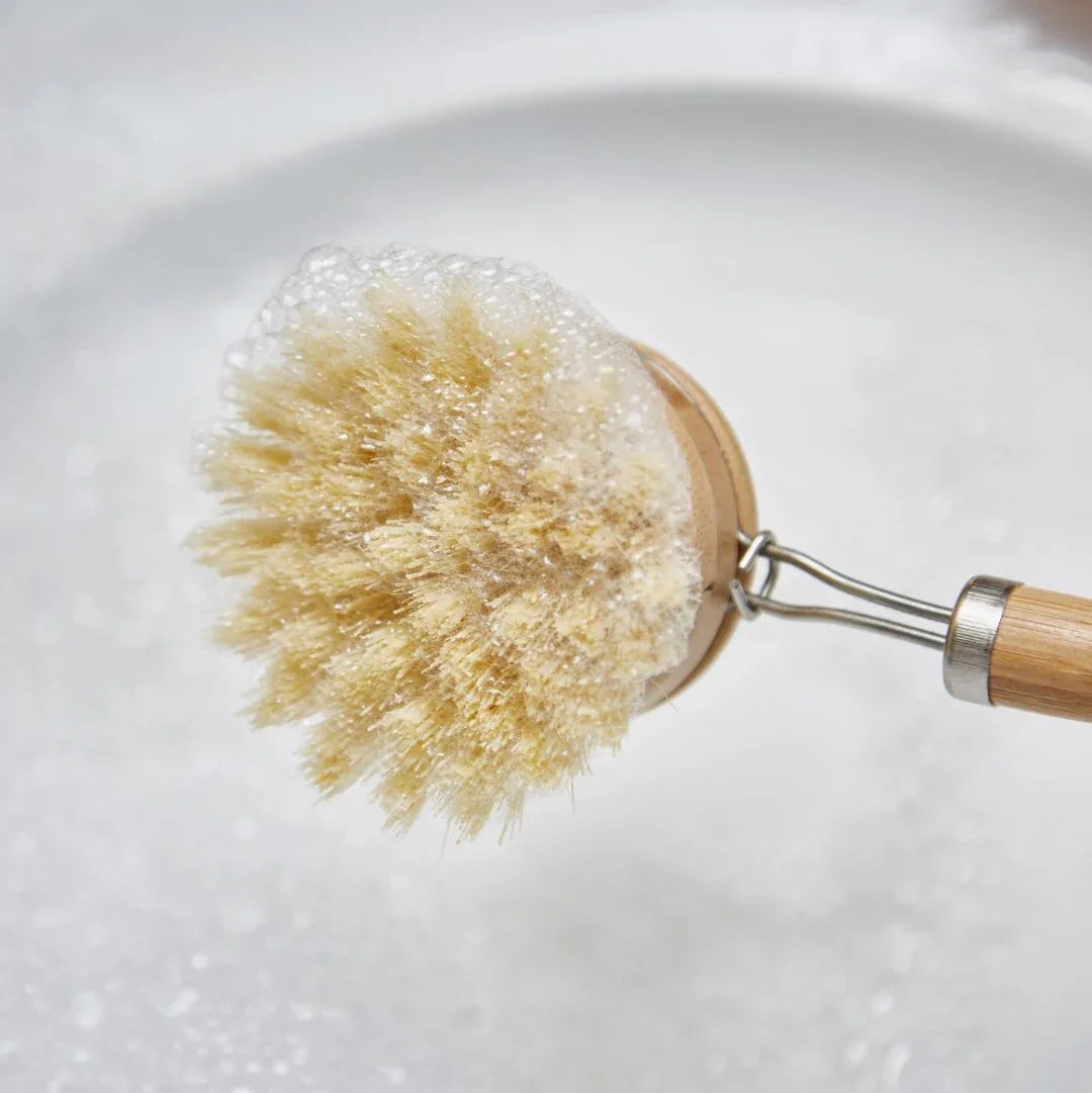 Wooden kitchen brush with sisal bristles and two replacement heads arranged on a light background.