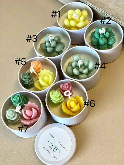 Cactus Jar Candle | Handmade Aroma Bliss
