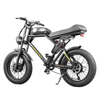 ⚡ BLJ-F4 RetroCruze™ – 20" Fat Tire Urban Electric Bike (1500W Dual - Snagva