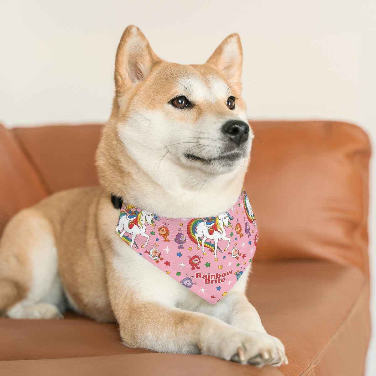 FAST SELLER Pet Bandana Collar - RB