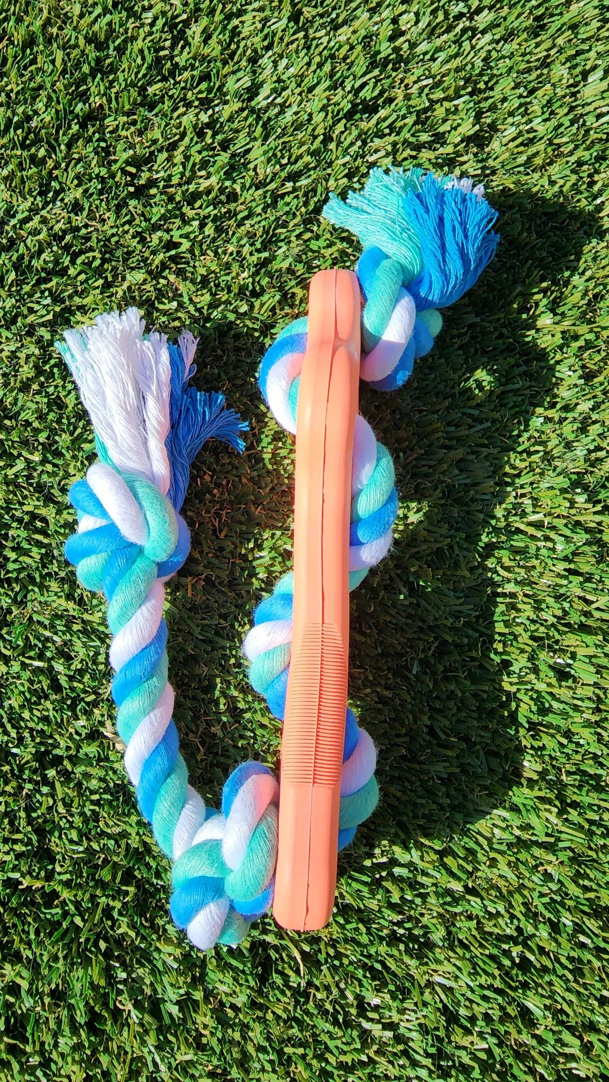 Active dog chewing on rubber bone chew toy with attached rope during playtime.