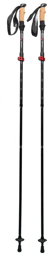 Pair of black and cork grip trekking poles standing upright on rocky terrain.