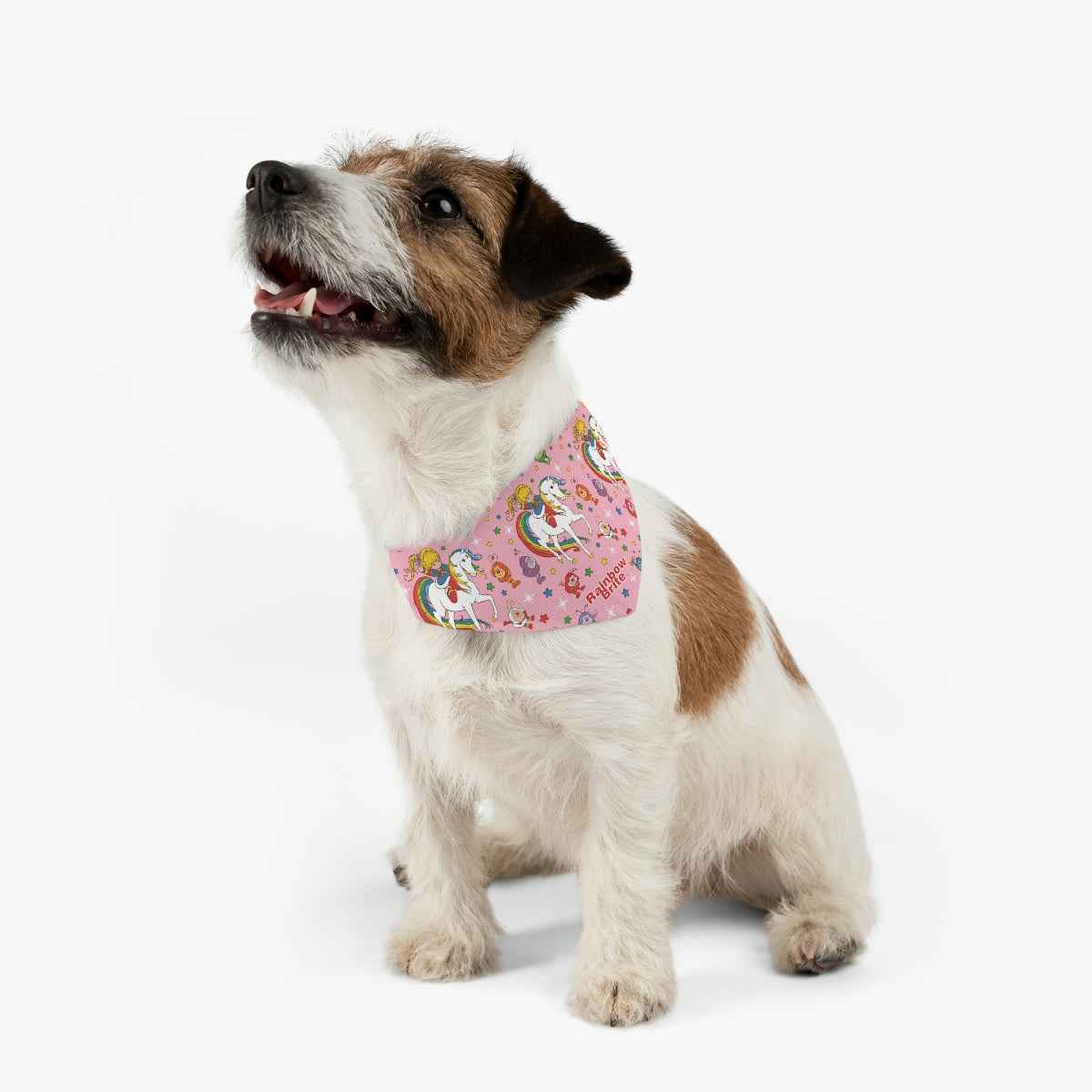 FAST SELLER Pet Bandana Collar - RB