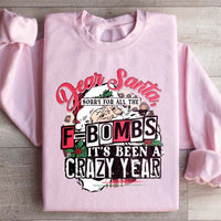 Light pink sweatshirt with white lettering 'Dear Santa Sorry For All The F Bombs' on front.