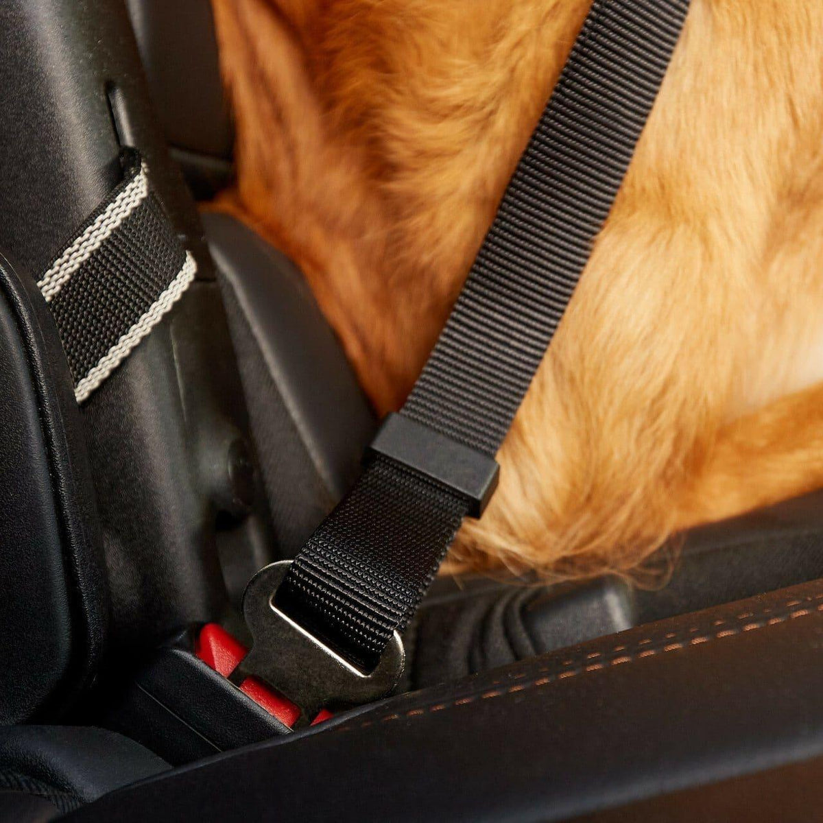 Two adjustable black dog seatbelt connectors with metal clips, displayed side by side on a white background.