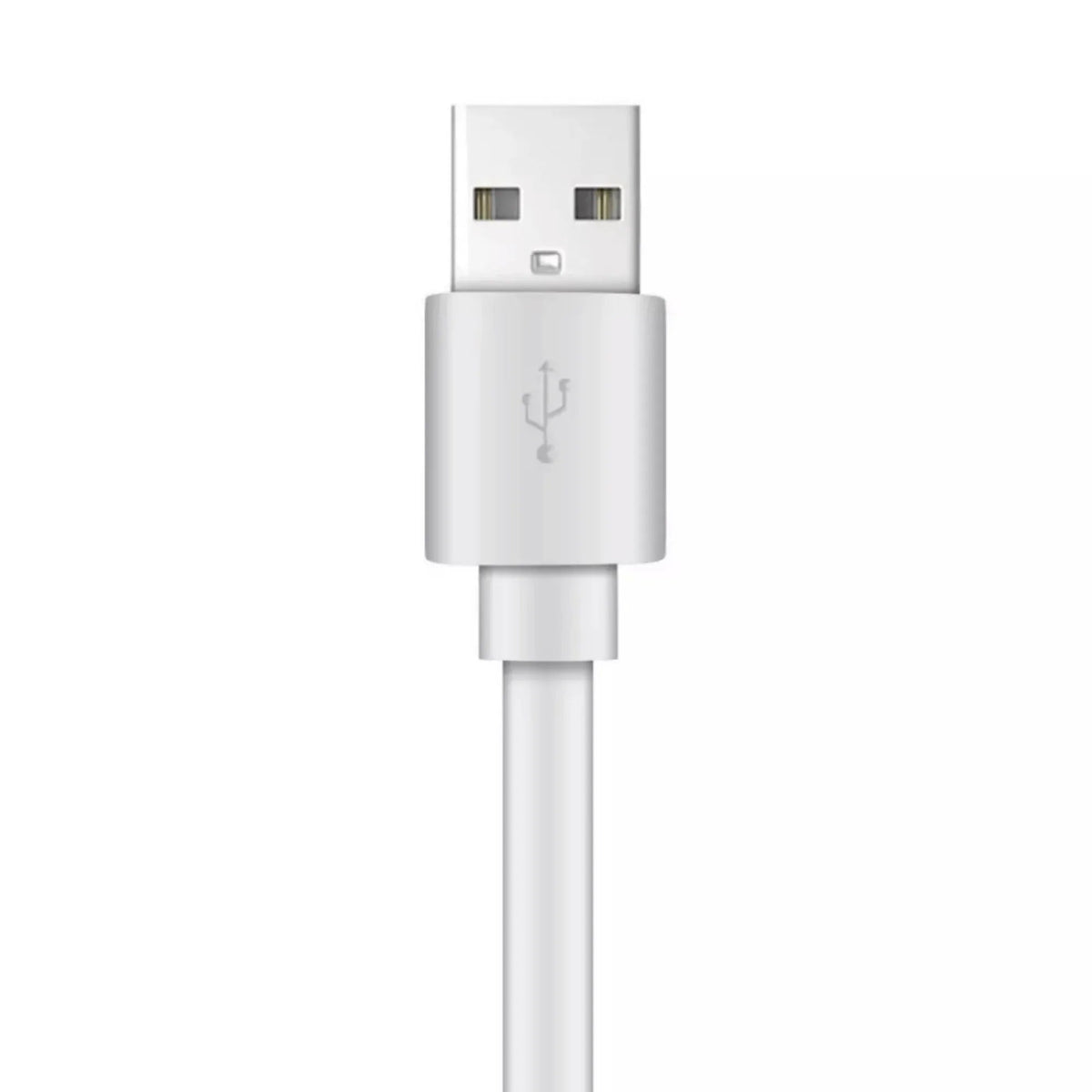 Xyst Charge and Sync USB to Lightning Flat Cable 4Ft - Snagva