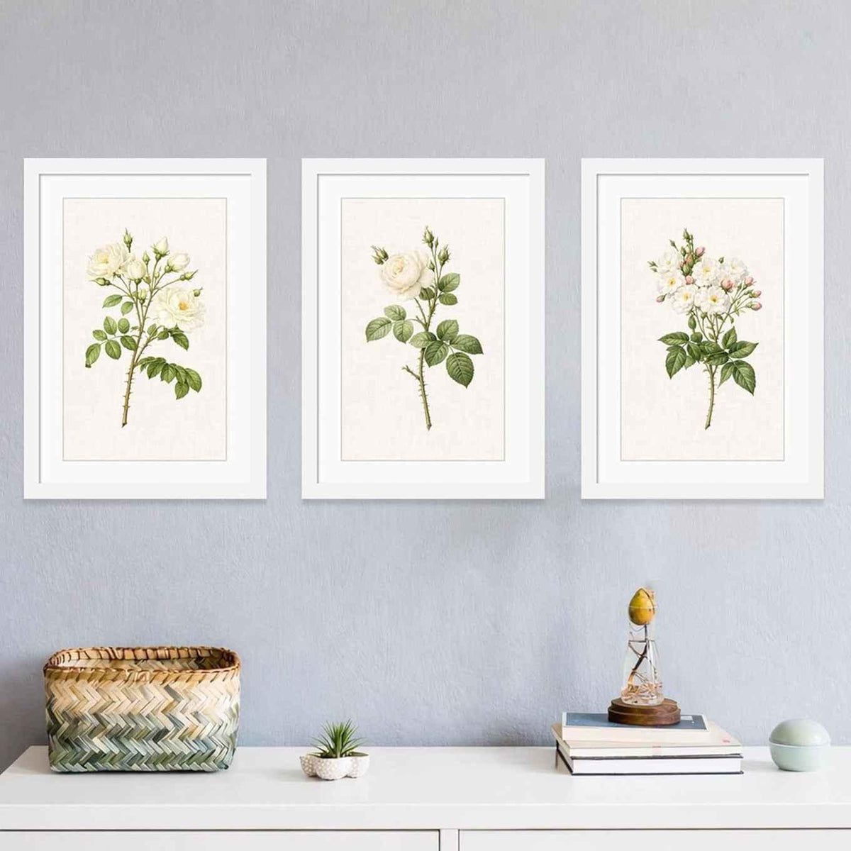 Framed Floral Botanical Wall Art Set of 3