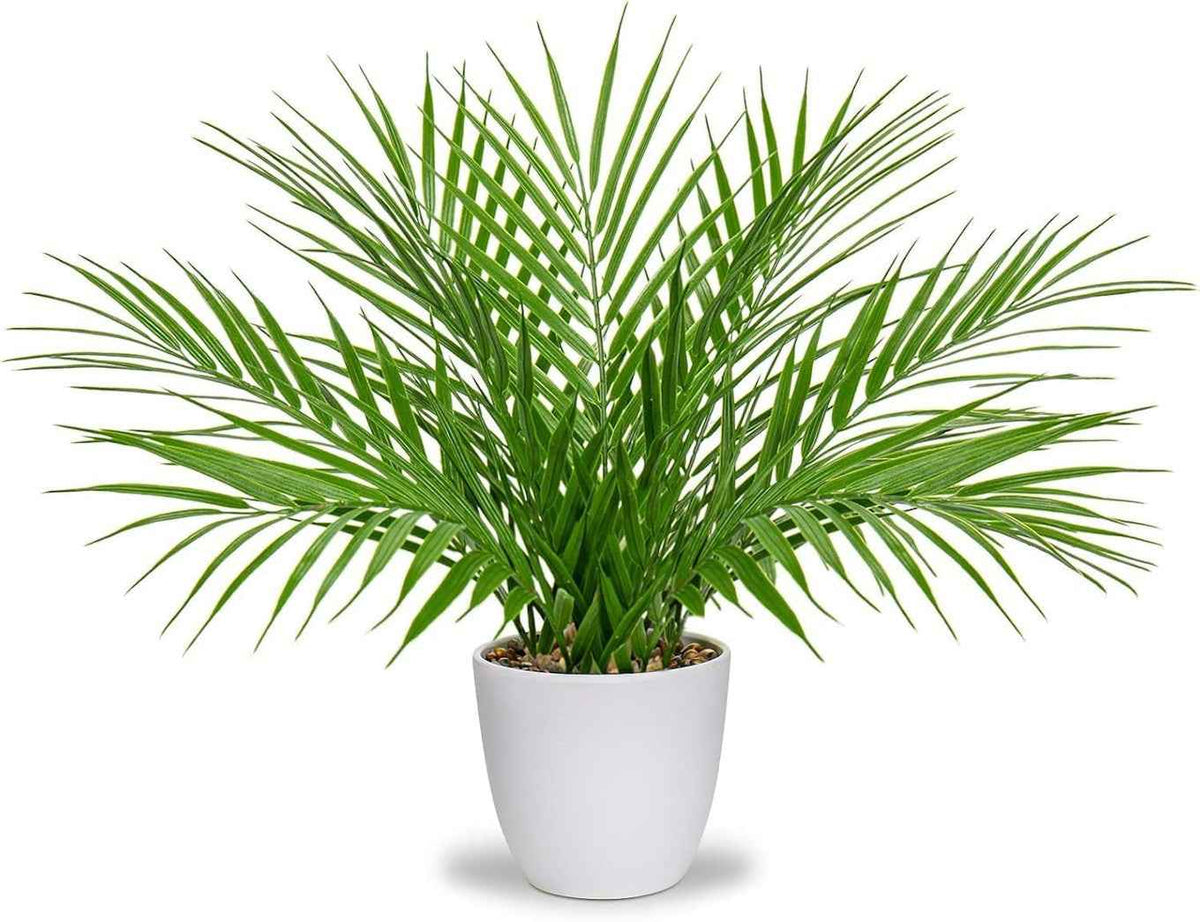 Artificial Palm Plant in White Pot Real Touch