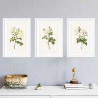 Framed Floral Botanical Wall Art Set of 3